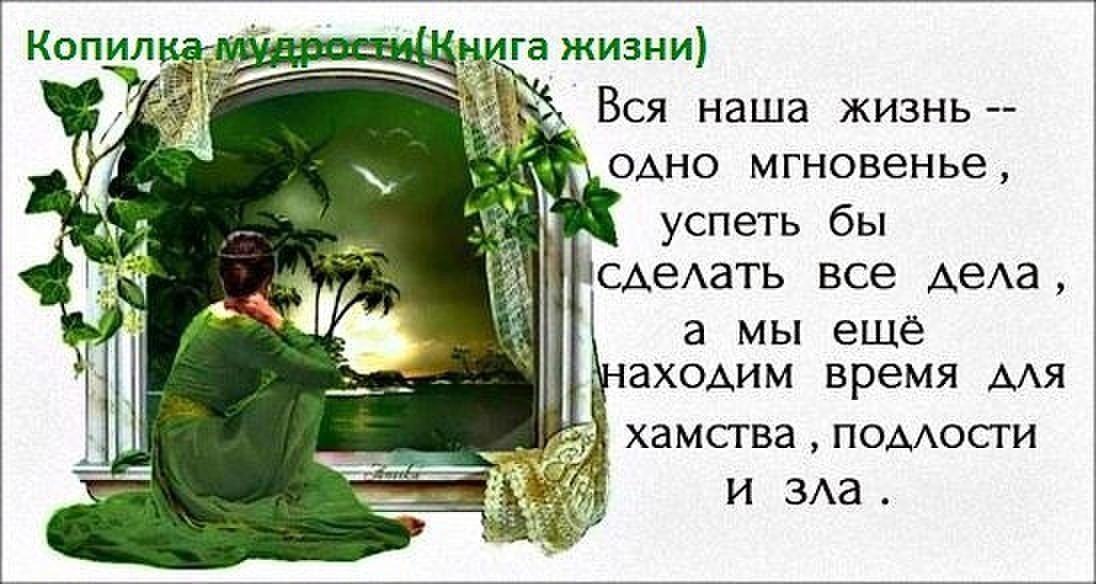 Вся наша жизнь – лишь миг один, Зависящий от нас. И от пелёнок до морщин Есть мост длиной в ...