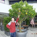 ���� ����, ����������, 50 ��� - ��������� 10 ��� 2018 � ������ �������