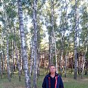  ,  , 51  -  20  2018