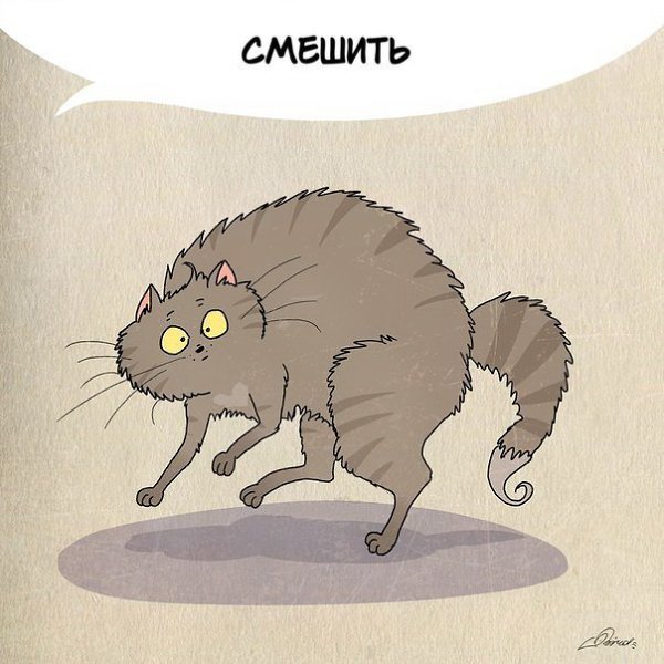 1 марта отмечается День кошек. Нам есть чему поучиться у шерстяных засранцев: - 2