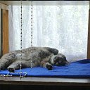 ���� ���������, ������, 41 ��� - ��������� 9 ������ 2018 � ������ ������ ��������