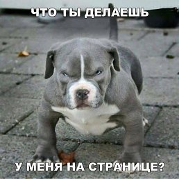 ���� ������, �������� - ��������� 13 ������ 2018