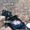 ���� Yaroslav (�������), ����, 46 ��� - ��������� 31 ������� 2017 � ������ ���� ����������