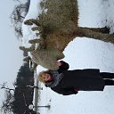 ���� ����, ������, 66 ��� - ��������� 21 ������� 2018 � ������ ���� ����������