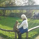 � ������ �� ������� ���� ����������