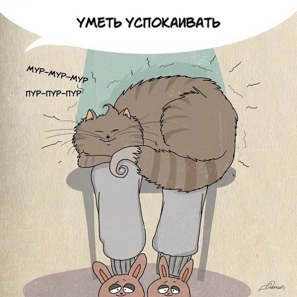 1 марта отмечается День кошек. Нам есть чему поучиться у шерстяных засранцев: - 5