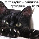 ���� ������, ������ - ��������� 3 ���� 2018 � ������ ������ ��������