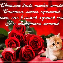 ����, �����-���������, 70 ���