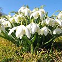  Gojko, -, 72  -  11  2018    