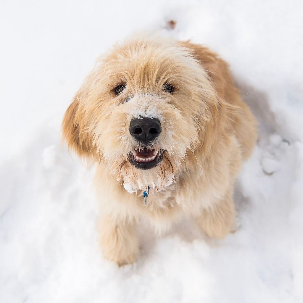 ������ - 4 ������� 2018 � 03:50