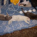 ���� ������, ����������� - ��������� 14 ������ 2018 � ������ ���� ����������