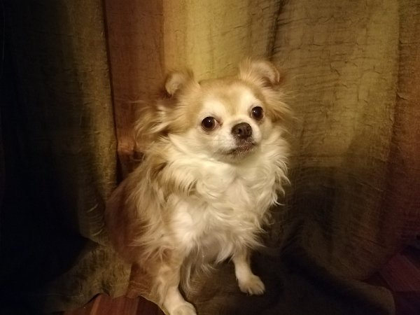 ������ - 16 ����� 2018 � 04:05