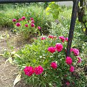 ���� ������, ���������-�������, 57 ��� - ��������� 16 ��� 2018 � ������ ���� ����������