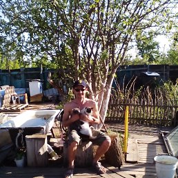 ���� ������, ��������, 53 ���� - ��������� 24 ��� 2018