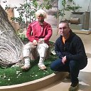 ���� �����, �����������, 33 ���� - ��������� 9 ��� 2018 � ������ ���� ����������