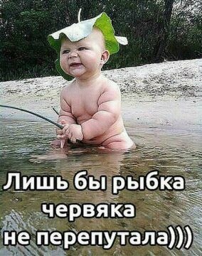    - 23  2017  10:45 - 3