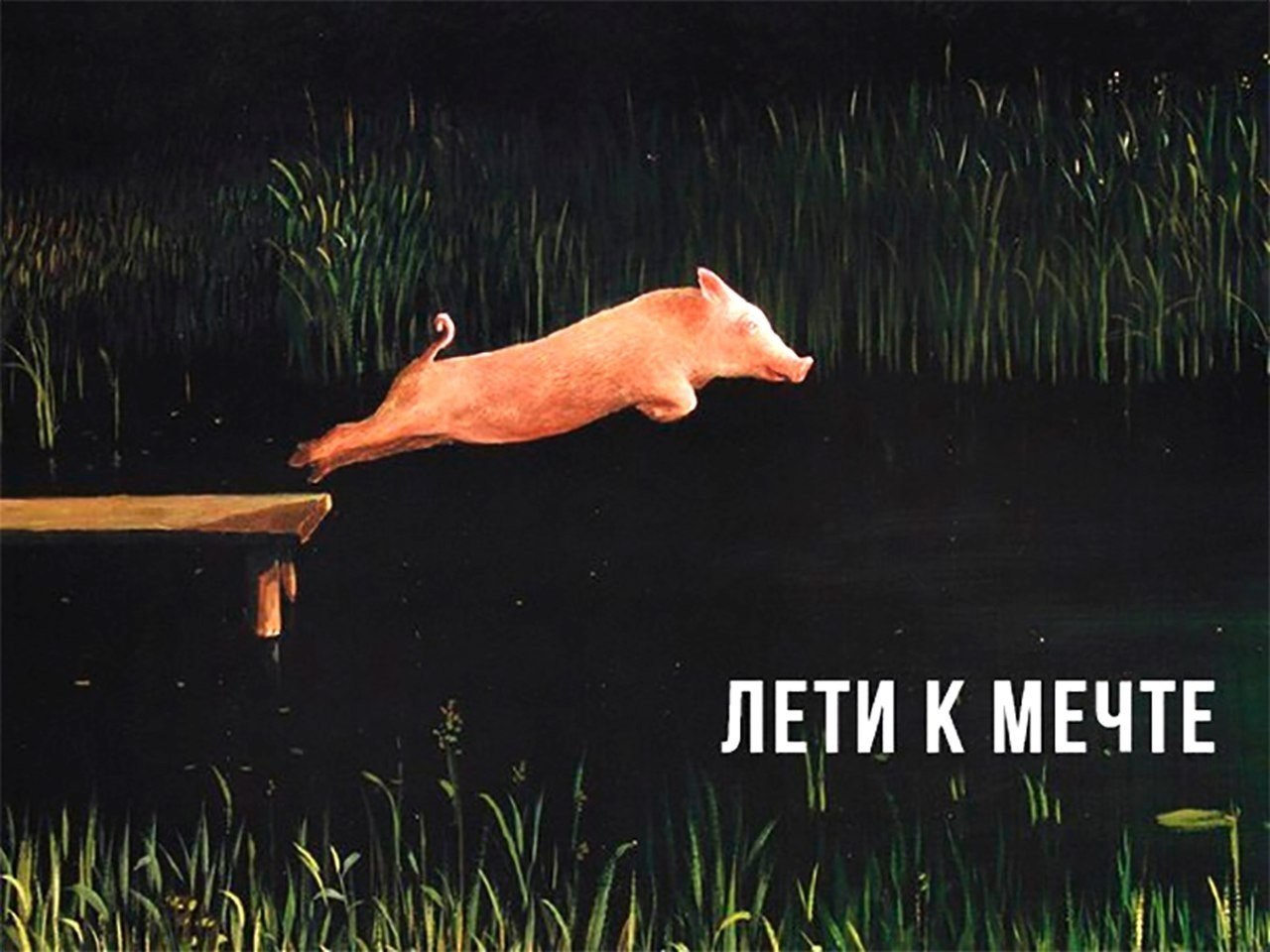    - 6  2018  04:12