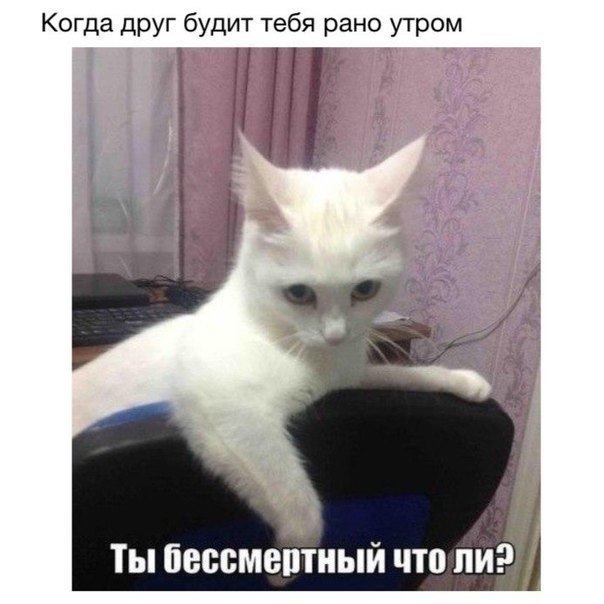   ... ... ... . , ,  ,  ,      ...