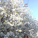 ���� �������, ������� - ��������� 18 ������ 2018 � ������ ���� ����������