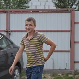 ������, ������, 41 ���