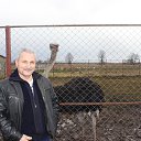 ���� ����, �������, 66 ��� - ��������� 20 ������ 2018 � ������ ���� ����������