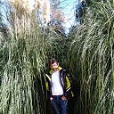 ���� ������, ���� - ��������� 17 ����� 2018 � ������ ������