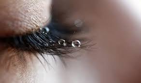 ���� �a��� �������...� ���o��� �� �����a ���� ���o�... �o �� ������ ������� � ���� �e����...�� ��� ...