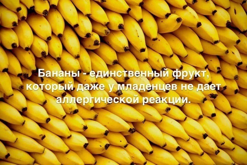   :    - 9  2018  06:08
