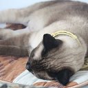 ���� Mishka, ������ - ��������� 26 ���� 2018 � ������ ���� �����