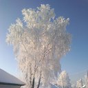 ���� �������, ����� - ��������� 24 ����� 2018 � ������ ������ ��������