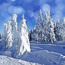 ���� Gunay, ���� - ��������� 14 ������� 2017 � ������ ������ ��������