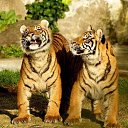 ���� ����, ������ - ��������� 4 ��� 2018