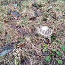 ���� �������, ������, 57 ��� - ��������� 8 ������ 2018 � ������ ������ ��������