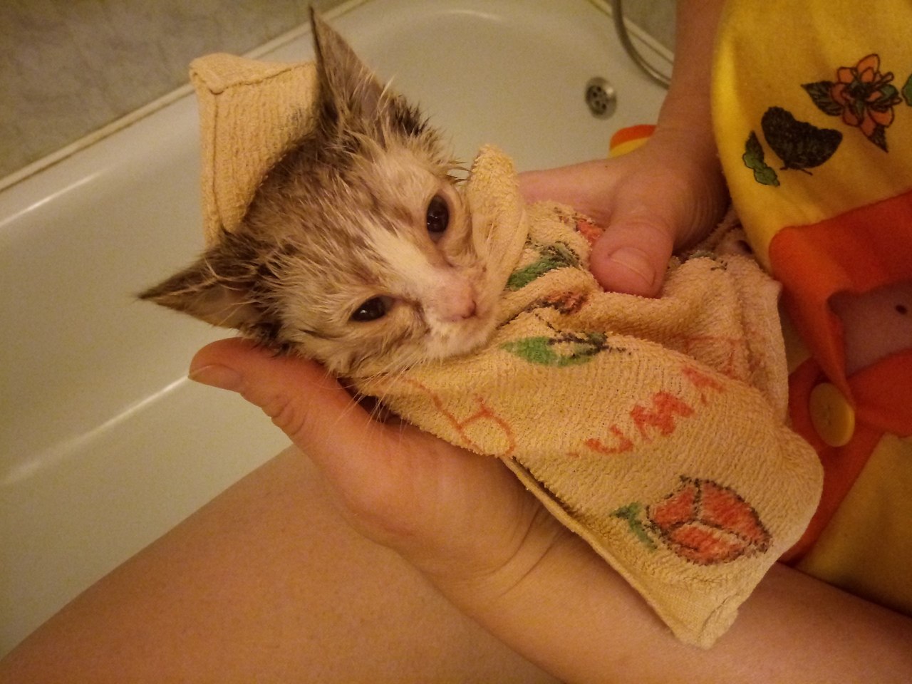 #_.       ,        ... - 3