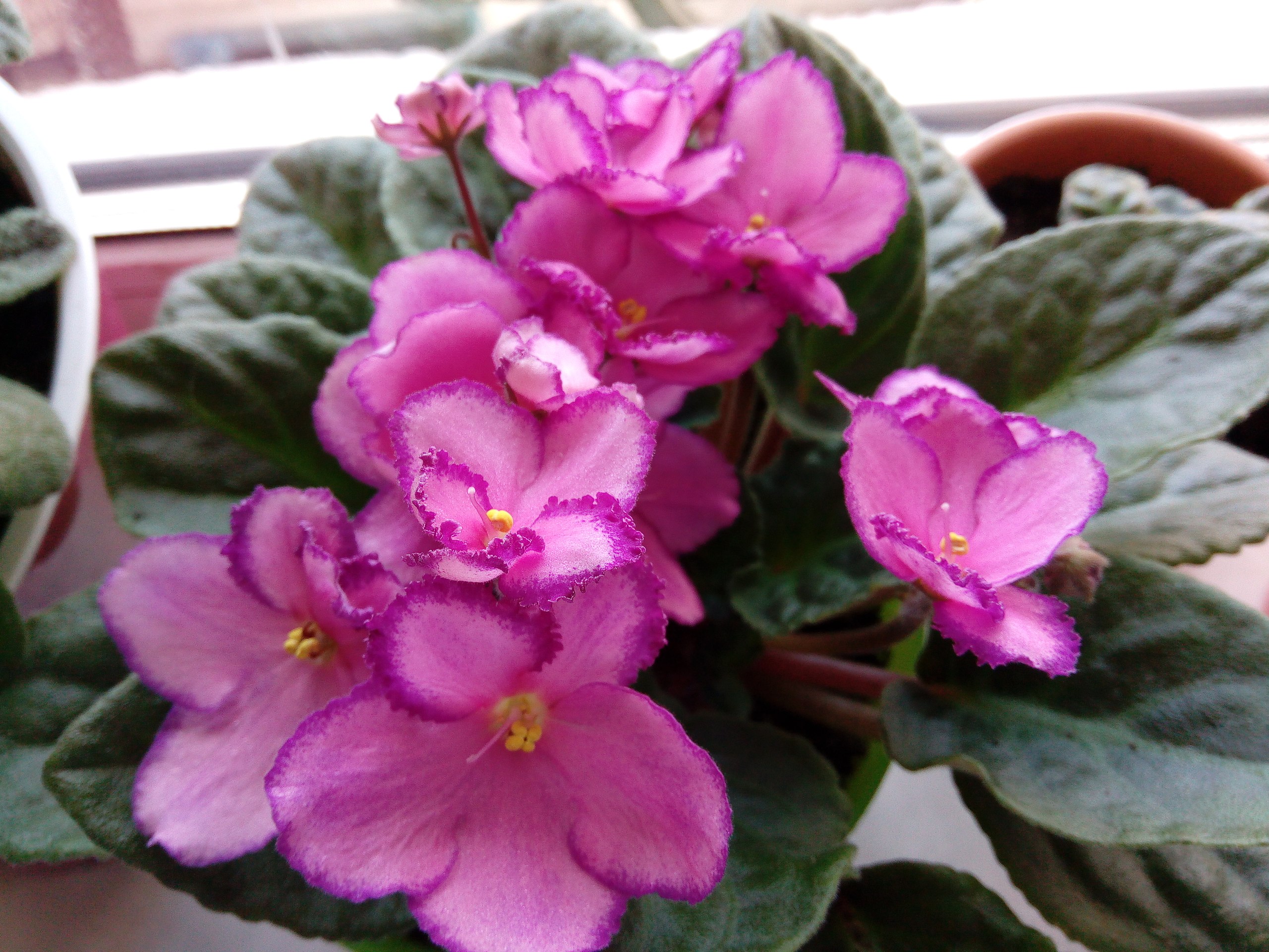    25    :-)     !   ...