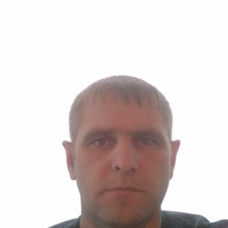 ������, ������, 41 ���