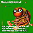 ���� Vlad, ����� - ��������� 3 ������ 2018 � ������ �������