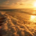 ���� ����, ������, 77 ��� - ��������� 10 ������ 2018 � ������ �����