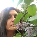 ���� �����, �����-���������, 61 ��� - ��������� 28 ��� 2018 � ������ ���� ����������
