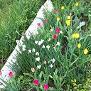 ���� ������� ���������, �������, 66 ��� - ��������� 15 ��� 2018 � ������ ������ ��������