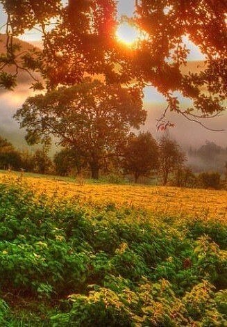 ����������� ��� � �������� �� ������ � ���-��. - 6