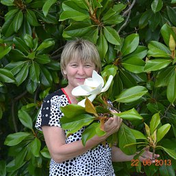 ������� �������, ���, 63 ����