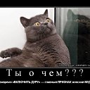 ���� ������, �������� - ��������� 13 ������� 2017 � ������ ������ ��������