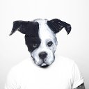 ���� ����, ��������, 39 ��� - ��������� 7 ���� 2018