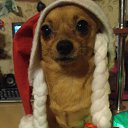  Donna, , 42  -  30  2017    