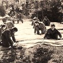 ���� ������, �������, 71 ��� - ��������� 26 ������ 2018 � ������ ���� ����������