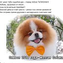 ���� ����, ����, 50 ��� - ��������� 17 ������� 2017 � ������ ���� ����������