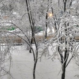 ����, �����-���������, 42 ����