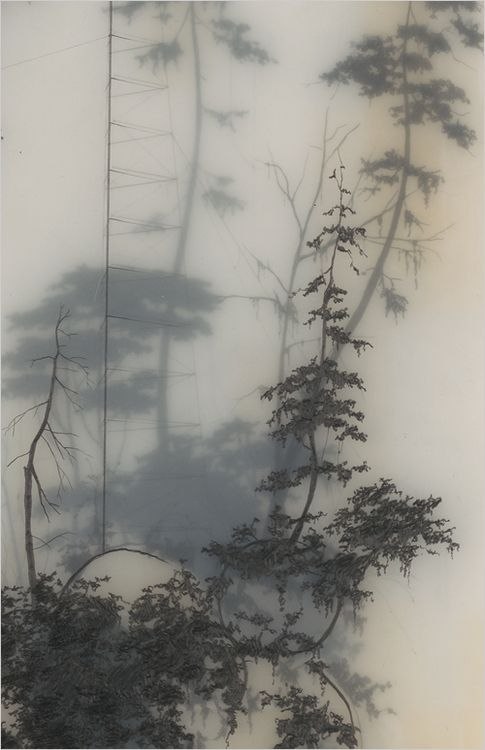 Brooks Shane Salzwedel. ,    , ,    . - 2