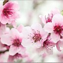 ���� ����, ����� - ��������� 30 ��� 2018 � ������ ������